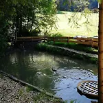 Am Waldrand Von Bregenzer Wald *