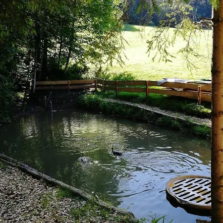 Am Waldrand Von Bregenzer Wald *