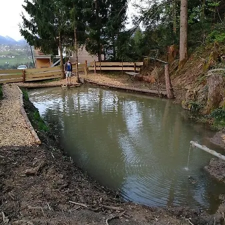 Am Waldrand Von Bregenzer Wald