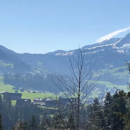 Am Waldrand Von Bregenzer Wald *