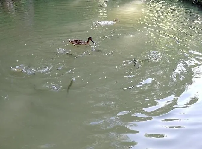 Apartment Am Waldrand Von Bregenzer Wald