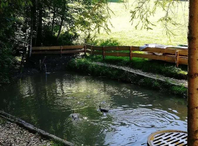 Am Waldrand Von Bregenzer Wald *