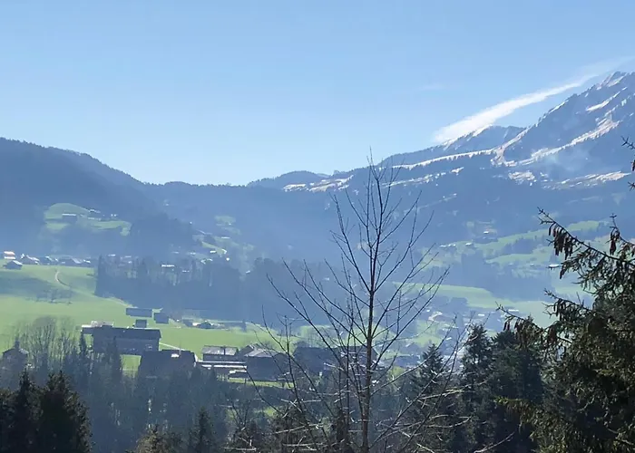 Am Waldrand Von Bregenzer Wald *