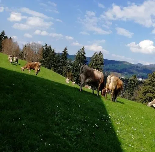 Apartment Am Waldrand Von Bregenzer Wald *